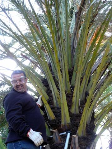 Modélisation 3D (Sanremo 2010)