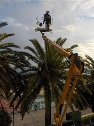 Campagne Phoenix de janvier 2009