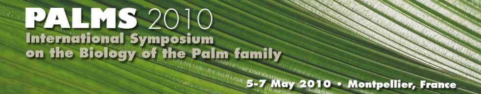 Symposium of the palm family