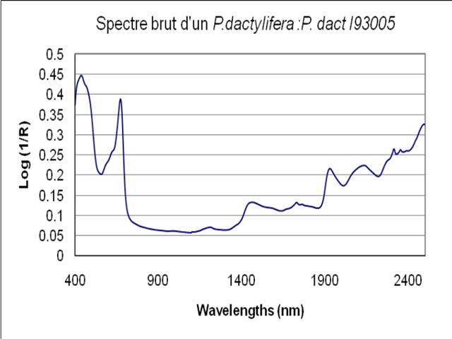 Spectre brut obtenu par SPIR