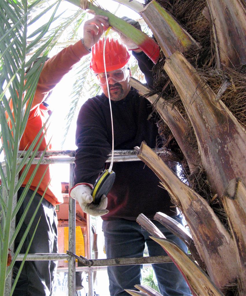 MOCAF Mohamed Benslah (Tunisie)