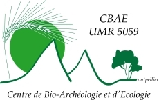 Logo CBAE