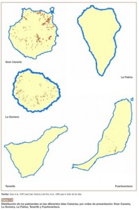 Map Canariensis Distribution