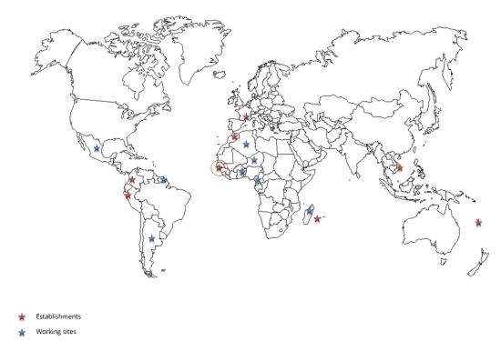 Logo IRD implantation