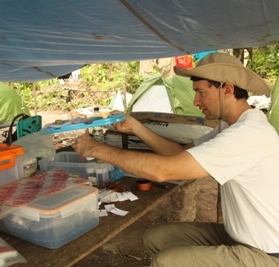 Jean-Christophe PINTAUD prépare ses échantillons de palmiers à Lobo