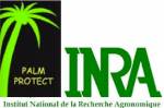 Logo INRA palmprotect
