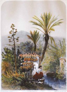 Nice Pittoresque Guiaud 1857