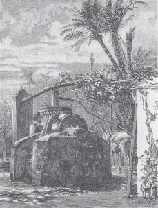 Brunnen in Bordighera gravure E Pfals n°69